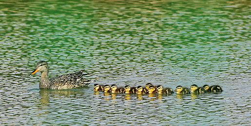 《OPUS：心相吾山》今秋登陆Steam 温馨冒险物语